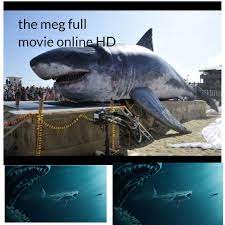 For everybody, everywhere, everydevice, and. Watchseries Watch The Meg 2018 Online For Free Awahante S Ownd