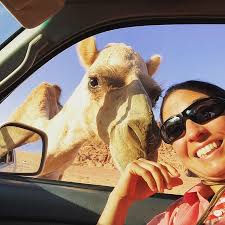 Attempt to sean board!