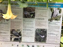 Find what to do today, this weekend, or in july. Things To Do In Fraser S Hill Family Friendly Guide World For A Girl