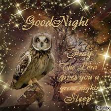 We did not find results for: 10 Awesome Good Night Gifs To End Your Day Good Night Gif Good Night Love Images New Good Night Images