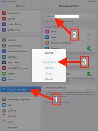 Jun 21, 2021 · youtube has recently announced that pip, or picture in picture will be available to all premium users and those who have ios 14. Guide To Cancel Youtube Premium On Iphone And Android