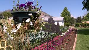 Historically, utahns have put 50 inches of water on their lawns every year, when, in actuality, they only need 24, cook says. Usu Offers Early Summer Gardening Lawn Care Tips
