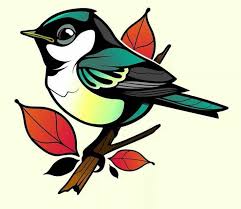 Ercument Aksoy (arcumant)