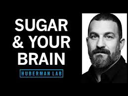 Controlling Sugar Cravings & Metabolism with Science-Based Tools