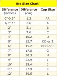 14 best bra size chart images bra size charts bra sizes bra