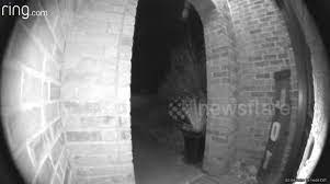 The doorbell rings, you open the door just to realize that no one is there. Newsflare Ghost Caught On Ring Doorbell Camera