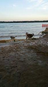 Alum Creek Dry Land Dog Park With Separate Small Dog Area Wet Dog Beach With Three Areas Small 2big Dog Area Dog Beach Dog Park
