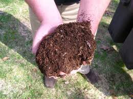 One can be a crabapple. How To Fertilize Fruit Trees In Autumn