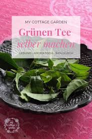 Ode An Die Herbstanemone 11 Grunde Warum Sie In Keinem Garten Fehle In 2020 Tee Selber Machen Schwarzer Tee Lebensmittel Essen