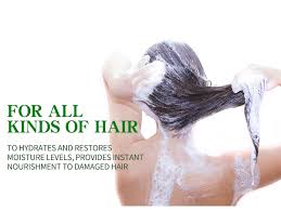 Check spelling or type a new query. Wholesale Private Label Natural Mourishing Regrowth Recovering Organic Anti Hair Loss Plant Stem Cell Hair Shampoo China Shampoo And Hair Dye Shampoo Price Made In China Com