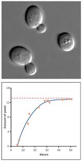 This is the currently selected item. Exponential Growth Logistic Growth Article Khan Academy