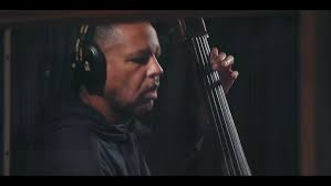 Run the Gauntlet, by Kris Davis