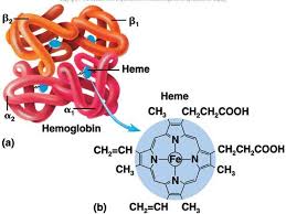 Epingle Sur Molecular Biology
