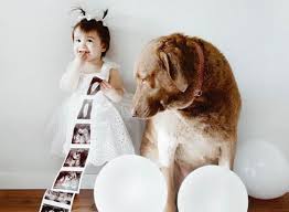 We did not find results for: Adorable Dog And Baby Photos That Ll Melt Your Heart