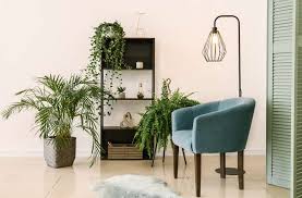 We did not find results for: 7 Common House Plants Are Really Hard To Kill Everyday Cheapskate