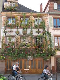 Colmar Rue Turenne The House Of Flowers Alsace Vosges Paysage
