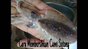 Keduanya punya tekstur dan citarasa yang sama setelah dimasak. Cara Membersihkan Cumi Sotong Youtube