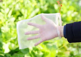 We did not find results for: China Gezi Reusable Fabric Fruit Protection Bags For Apple Grape Mango Pear Fruit China Mesh Insect Net Bag For Animal Nylon Mesh Netting Barrier Bags