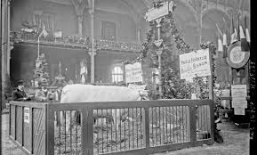 Le salon international de l'#agriculture. Le Salon De L Agriculture Remonte Au Xixe Siecle Historia Fr