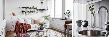 Descubre 20 fotos de plantas de 20 plantas de interior: Decorar Con Plantas De Interior Un Mini Piso El Pais De Sarah