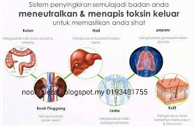 Parut lobak dan peras buahnya untuk mendapatkan. Detoks Kaedah Mengeluarkan Racun Dari Badan Mommy Shahab
