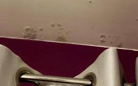 Mold in the house isn't just a problem for people with allergies or asthma. Ceiling Mold Growth Learn The Cause And How To Prevent It Environix