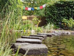 So Gelingt Ein Insekten Und Bienenfreundlicher Garten Bienenfreundlicher Garten Bienenfreundliche Pflanzen Garten