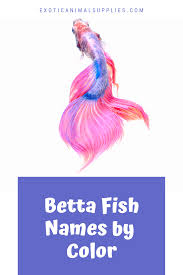 Pin On Fish Aquariums More