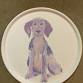 Plate Painting Workshop