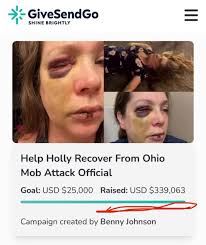 holly gofundme cincinnati