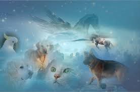 Beyond Animals Dog - Free image on Pixabay