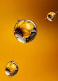 Three By Lord V Via Flickr Water Drop Photography Water Droplets Art Water Photography