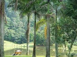 One of the nature guide explaining about the tree species to the. Forest Research Institute Malaysia Frim Attractions In Kepong Kuala Lumpur