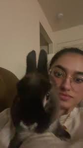 Bunnies Doing The Tango