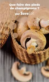 Cuisiner Les Pieds De Champignons Et Dire Adieu Au Gaspillage Recette Champignon Recette Veloute Cuisine
