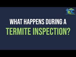 But one requirement that is specific to the va loan is pest. Termite Inspection Dallas Fort Worth Thomas Engineering Home Inspections Thomas Engineering Consultants