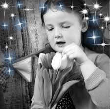 Hi all, Just introducing ourselves…Danny and Ann Crosby running 'La Maison  Chaleureuse' here in Riberac, Dordogne. I am proud to be one of the  moderators