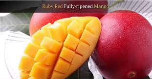 Miyazaki is the king of mangoes, world wide! Mango Miyazaki Local Products And Trade Promotion Center