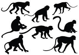 Monkey Silhouette Vector Silhouette Clip Art Silhouette Clip Art Silhouette Vector Monkey Art