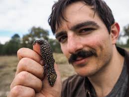 What do you really look like?