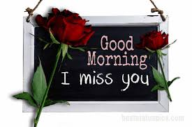 Brimming with style and personality, these colorful blossoms are transformative in so many ways. Amazing Good Morning I Miss You Images Pictures Hd 2021 Best Status Pics