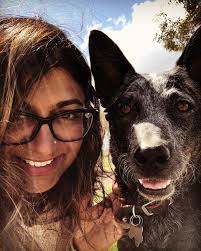 Heelers giving their owners the face