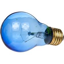 Zilla Day Blue Light Incandescent Bulb Petco
