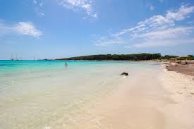 Smješteno je u sjeverozapadnom dijelu dugog otoka, najvećem otoku zadarskog arhipelaga. Sakarun Beach Strand Mit Karibikflair Auf Dugi Otok Placesofjuma