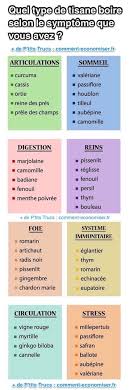 Quel Type De Tisane Boire Selon Le Symptome Que Vous Avez Tisane Sante Remedes De Sante