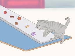 Free for commercial use no attribution required high quality images. How To Choose A Ramp Or Stairs For Your Cat 12 Steps