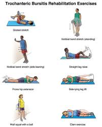 Exclusive Physiotherapy Guide For Physiotherapists Exercise For Musculoskeletal Conditions Bursite Trocanterica Bursite Quadril Treino Quadril