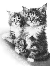 Pin By Stan Hyde On Animals Kitten Art Cats Art Drawing Pencil Drawings Of Animals