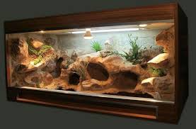 Pin By Mindy Fairchild On Tortoise Enclosure Diy Craft Ideas Reptile Terrarium Bearded Dragon Terrarium Bearded Dragon Terrarium Ideas