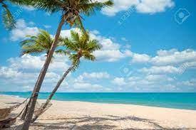 Maybe you would like to learn more about one of these? Beach Scene Wallpaper Beach Wallpapers Free Hd Download 500 Hq Unsplash If You Re In Search Of The Best Night Beach Wallpapers You Ve Come To The Right Place Paperblog